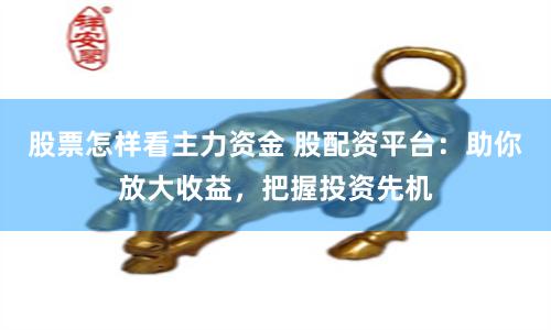 股票怎样看主力资金 股配资平台：助你放大收益，把握投资先机