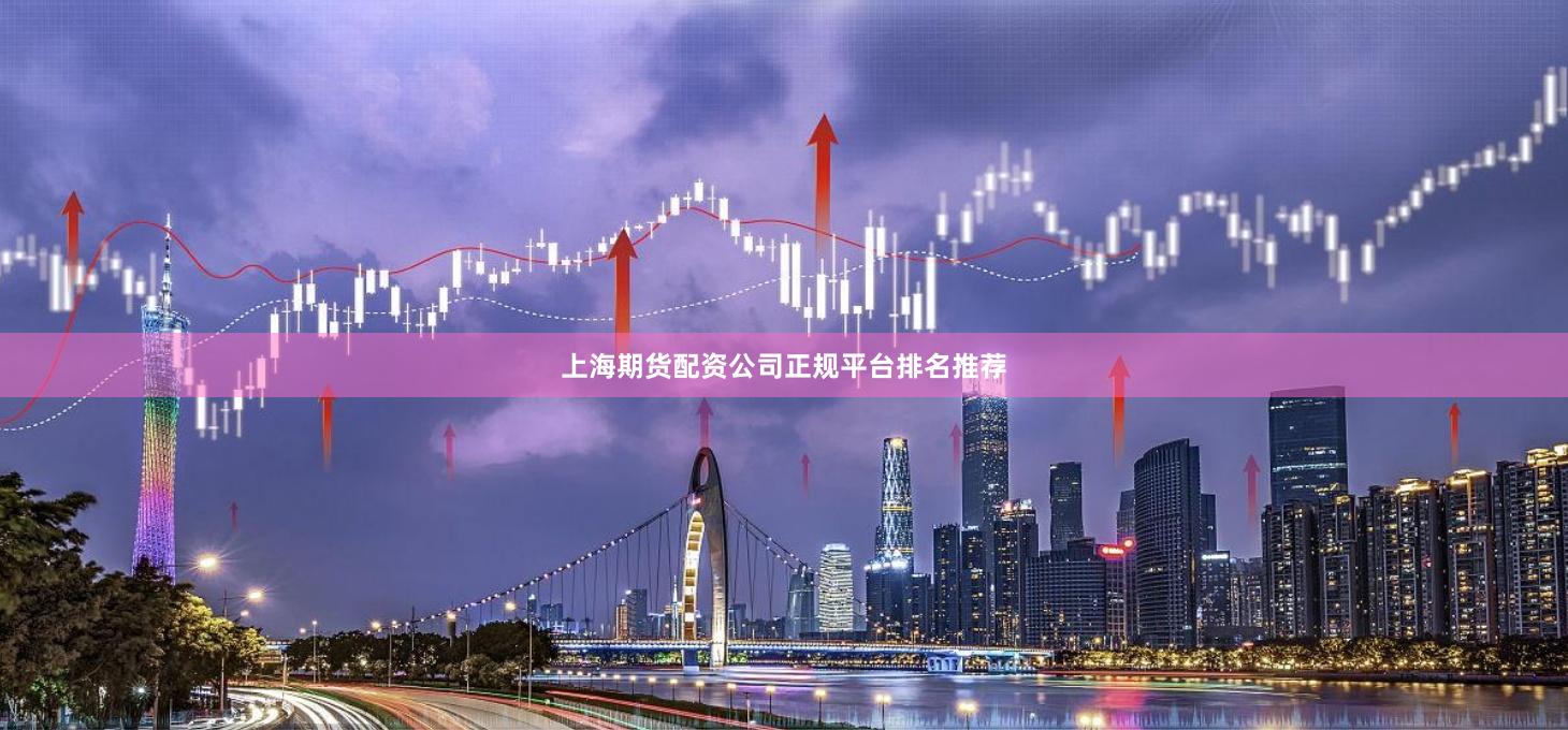 上海期货配资公司正规平台排名推荐